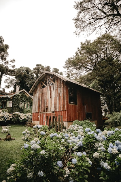 Why Choose Cedar Rose Ranch?